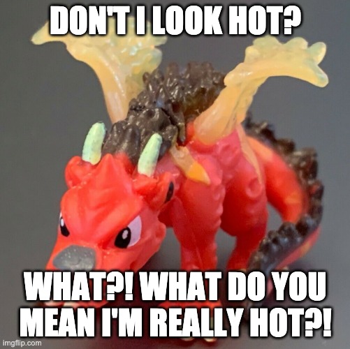 Fyra Meme | DON'T I LOOK HOT? WHAT?! WHAT DO YOU MEAN I'M REALLY HOT?! | image tagged in fyra meme | made w/ Imgflip meme maker