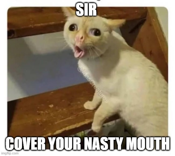 Corona virus it real | SIR; COVER YOUR NASTY MOUTH | image tagged in coughing cat | made w/ Imgflip meme maker