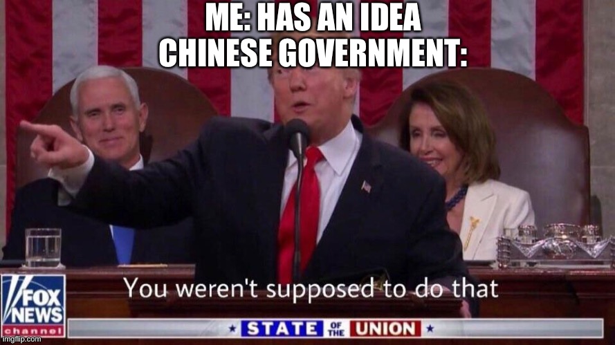 You weren’t supposed to do that | ME: HAS AN IDEA
CHINESE GOVERNMENT: | image tagged in you weren t supposed to do that | made w/ Imgflip meme maker