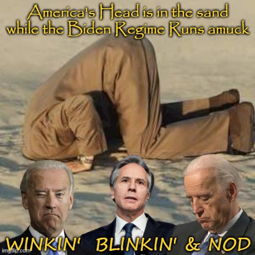 America's Head is in the sand while the Biden Regime Runs amuck; WINKIN'  BLINKIN' & NOD | made w/ Imgflip meme maker