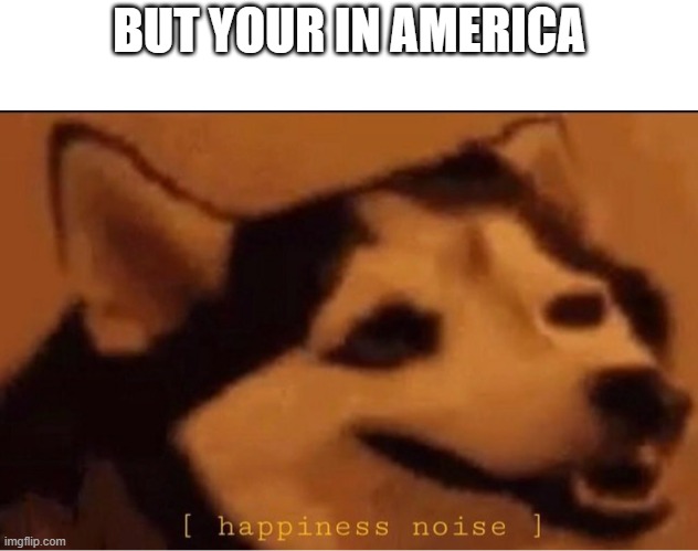 happines noise | BUT YOUR IN AMERICA | image tagged in happines noise | made w/ Imgflip meme maker