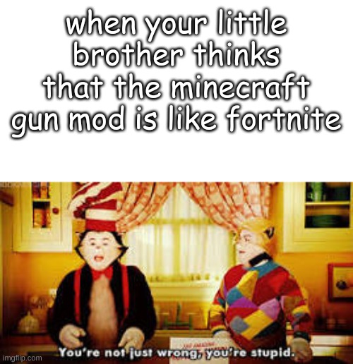 Your not just wrong your stupid |  when your little brother thinks that the minecraft gun mod is like fortnite | image tagged in your not just wrong your stupid | made w/ Imgflip meme maker