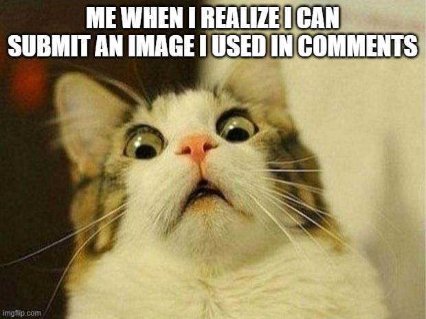 Scared Cat | ME WHEN I REALIZE I CAN SUBMIT AN IMAGE I USED IN COMMENTS | image tagged in memes,scared cat | made w/ Imgflip meme maker