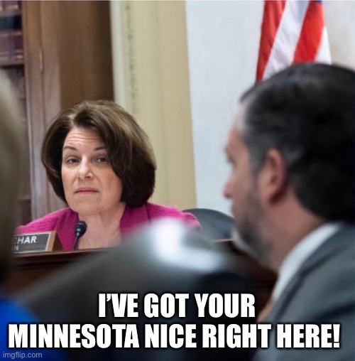 Minnesota, nice! | I’VE GOT YOUR MINNESOTA NICE RIGHT HERE! | image tagged in minnesota,minnesota nice,klobuchar | made w/ Imgflip meme maker
