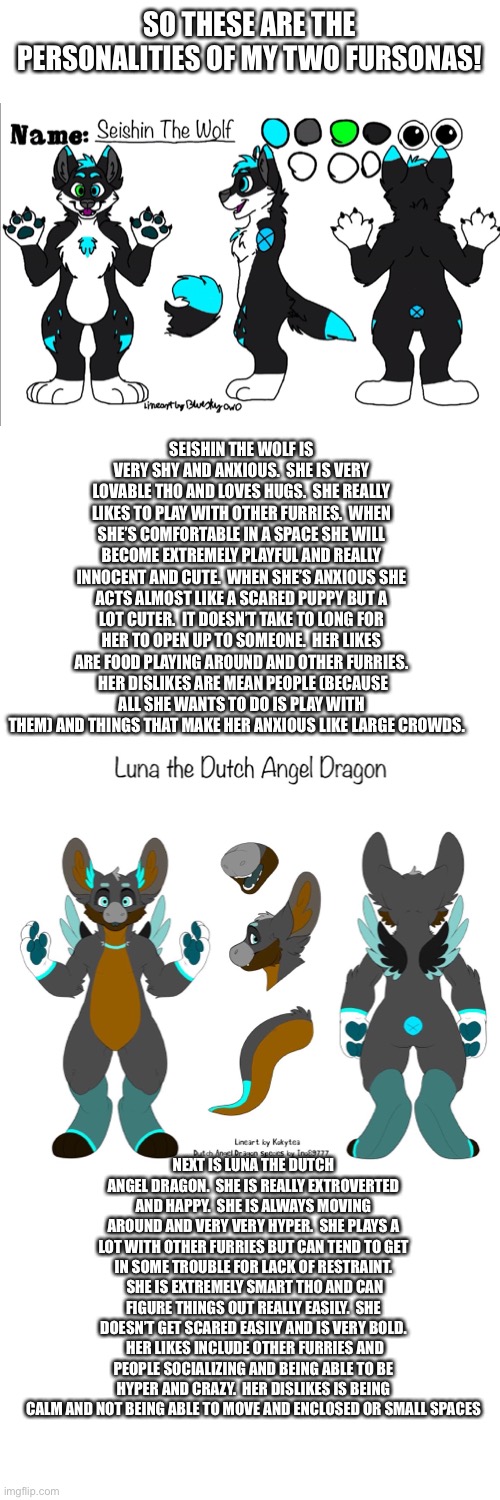 My fursona personalities (note from melon: i Love them so much-) | SO THESE ARE THE PERSONALITIES OF MY TWO FURSONAS! SEISHIN THE WOLF IS VERY SHY AND ANXIOUS.  SHE IS VERY LOVABLE THO AND LOVES HUGS.  SHE REALLY LIKES TO PLAY WITH OTHER FURRIES.  WHEN SHE’S COMFORTABLE IN A SPACE SHE WILL BECOME EXTREMELY PLAYFUL AND REALLY INNOCENT AND CUTE.  WHEN SHE’S ANXIOUS SHE ACTS ALMOST LIKE A SCARED PUPPY BUT A LOT CUTER.  IT DOESN’T TAKE TO LONG FOR HER TO OPEN UP TO SOMEONE.  HER LIKES ARE FOOD PLAYING AROUND AND OTHER FURRIES.  HER DISLIKES ARE MEAN PEOPLE (BECAUSE ALL SHE WANTS TO DO IS PLAY WITH THEM) AND THINGS THAT MAKE HER ANXIOUS LIKE LARGE CROWDS. NEXT IS LUNA THE DUTCH ANGEL DRAGON.  SHE IS REALLY EXTROVERTED AND HAPPY.  SHE IS ALWAYS MOVING AROUND AND VERY VERY HYPER.  SHE PLAYS A LOT WITH OTHER FURRIES BUT CAN TEND TO GET IN SOME TROUBLE FOR LACK OF RESTRAINT.  SHE IS EXTREMELY SMART THO AND CAN FIGURE THINGS OUT REALLY EASILY.  SHE DOESN’T GET SCARED EASILY AND IS VERY BOLD.  HER LIKES INCLUDE OTHER FURRIES AND PEOPLE SOCIALIZING AND BEING ABLE TO BE HYPER AND CRAZY.  HER DISLIKES IS BEING CALM AND NOT BEING ABLE TO MOVE AND ENCLOSED OR SMALL SPACES | image tagged in blank white template | made w/ Imgflip meme maker