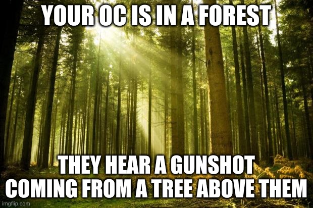 snypr | YOUR OC IS IN A FOREST; THEY HEAR A GUNSHOT COMING FROM A TREE ABOVE THEM | image tagged in sunlit forest | made w/ Imgflip meme maker