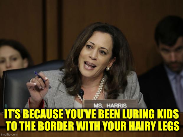 Kamala Harris | IT’S BECAUSE YOU’VE BEEN LURING KIDS
 TO THE BORDER WITH YOUR HAIRY LEGS | image tagged in kamala harris | made w/ Imgflip meme maker