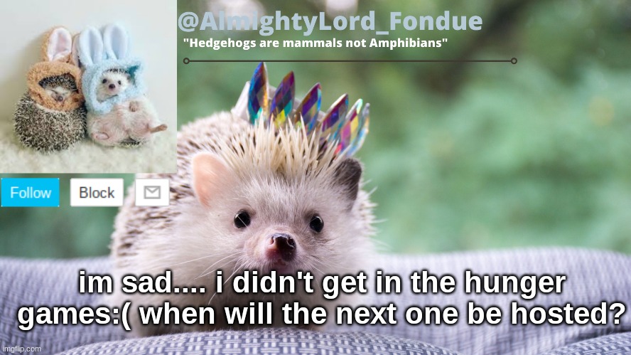 Kuwata please tell me  or anyone tell me | im sad.... i didn't get in the hunger games:( when will the next one be hosted? | image tagged in fondue hedgehog temp | made w/ Imgflip meme maker