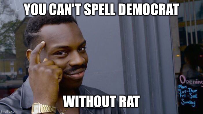 LOL (for legal reasons this is a joke, don’t take offense) | YOU CAN’T SPELL DEMOCRAT; WITHOUT RAT | image tagged in memes,roll safe think about it,funny,democrats,rats | made w/ Imgflip meme maker