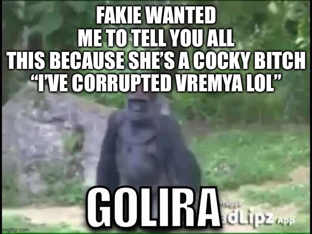 FAKIE WANTED ME TO TELL YOU ALL THIS BECAUSE SHE’S A COCKY BITCH

“I’VE CORRUPTED VREMYA LOL” | made w/ Imgflip meme maker
