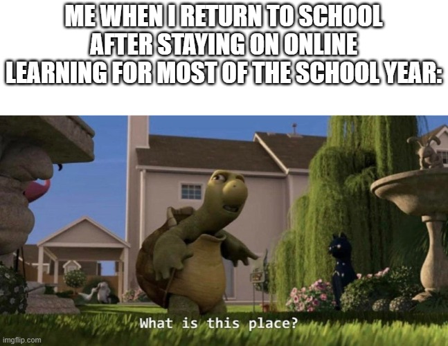 What is this place? | ME WHEN I RETURN TO SCHOOL AFTER STAYING ON ONLINE LEARNING FOR MOST OF THE SCHOOL YEAR: | image tagged in what is this place,school meme,return,back to school,memes | made w/ Imgflip meme maker