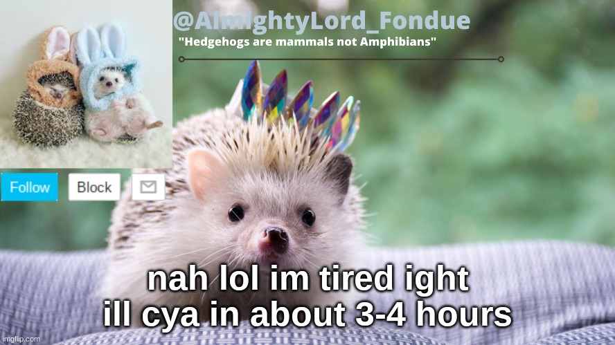 Fondue hedgehog temp | nah lol im tired ight ill cya in about 3-4 hours | image tagged in fondue hedgehog temp | made w/ Imgflip meme maker