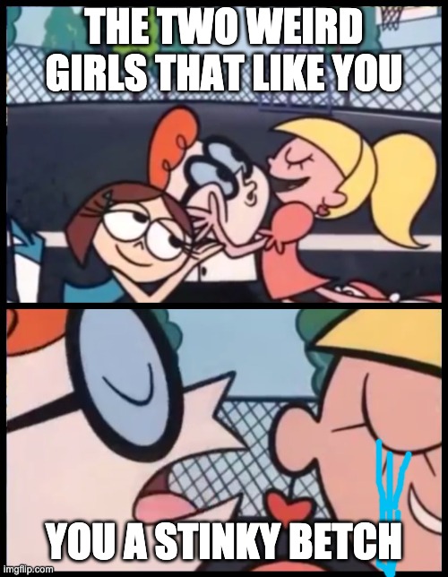 Say it Again, Dexter Meme | THE TWO WEIRD GIRLS THAT LIKE YOU; YOU A STINKY BETCH | image tagged in memes,say it again dexter | made w/ Imgflip meme maker