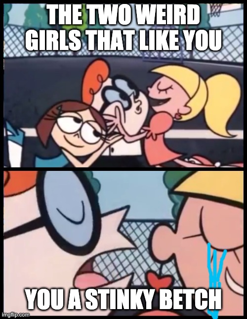 Say it Again, Dexter | THE TWO WEIRD GIRLS THAT LIKE YOU; YOU A STINKY BETCH | image tagged in memes,say it again dexter | made w/ Imgflip meme maker