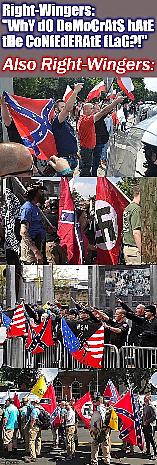 Today's Troll of the Day: Confederate Flag Nazis | image tagged in confederate flag,neo-nazis,nazis,confederate | made w/ Imgflip meme maker
