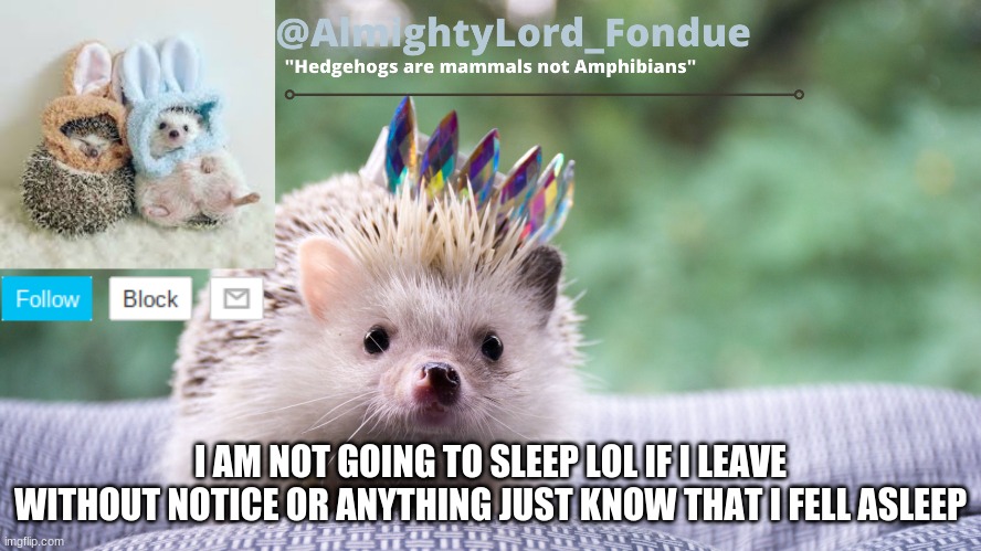 I dont wanna go to sleep lol | I AM NOT GOING TO SLEEP LOL IF I LEAVE WITHOUT NOTICE OR ANYTHING JUST KNOW THAT I FELL ASLEEP | image tagged in fondue hedgehog temp | made w/ Imgflip meme maker