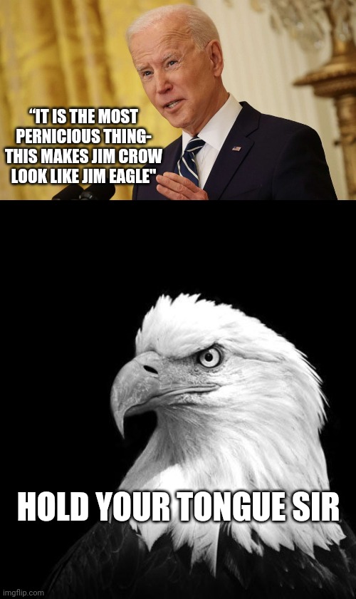 Hold your Tongue | “IT IS THE MOST PERNICIOUS THING- THIS MAKES JIM CROW LOOK LIKE JIM EAGLE"; HOLD YOUR TONGUE SIR | image tagged in eagle,make america great again | made w/ Imgflip meme maker