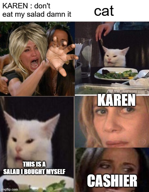 this is a salad i bought my self | KAREN : don't eat my salad damn it; cat; KAREN; THIS IS A SALAD I BOUGHT MYSELF; CASHIER | image tagged in memes,woman yelling at cat | made w/ Imgflip meme maker