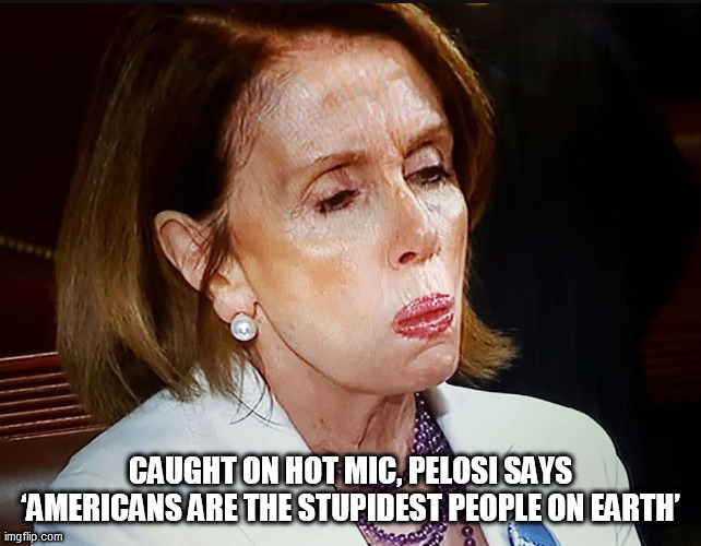 Nancy Pelosi PB Sandwich | CAUGHT ON HOT MIC, PELOSI SAYS ‘AMERICANS ARE THE STUPIDEST PEOPLE ON EARTH’ | image tagged in nancy pelosi pb sandwich | made w/ Imgflip meme maker