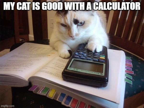 Math cat | MY CAT IS GOOD WITH A CALCULATOR | image tagged in math cat | made w/ Imgflip meme maker