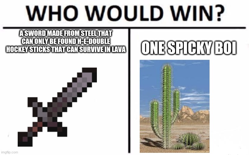Who Would Win? | A SWORD MADE FROM STEEL THAT CAN ONLY BE FOUND H-E-DOUBLE HOCKEY STICKS THAT CAN SURVIVE IN LAVA; ONE SPICKY BOI | image tagged in memes,who would win | made w/ Imgflip meme maker