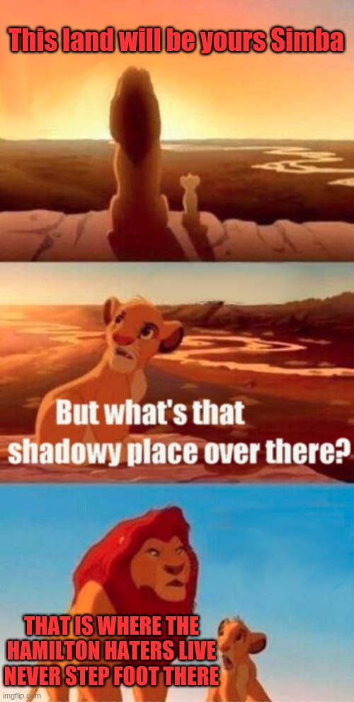Lol start spam | This land will be yours Simba; THAT IS WHERE THE HAMILTON HATERS LIVE NEVER STEP FOOT THERE | image tagged in memes,simba shadowy place | made w/ Imgflip meme maker