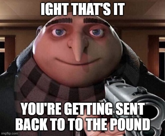 Gru Gun | IGHT THAT'S IT YOU'RE GETTING SENT BACK TO TO THE POUND | image tagged in gru gun | made w/ Imgflip meme maker