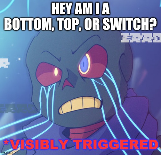 hmmm | HEY AM I A BOTTOM, TOP, OR SWITCH? | image tagged in error sans visibly triggered | made w/ Imgflip meme maker