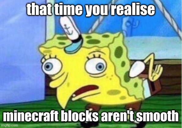 Mocking Spongebob Meme | that time you realise; minecraft blocks aren't smooth | image tagged in memes,mocking spongebob | made w/ Imgflip meme maker
