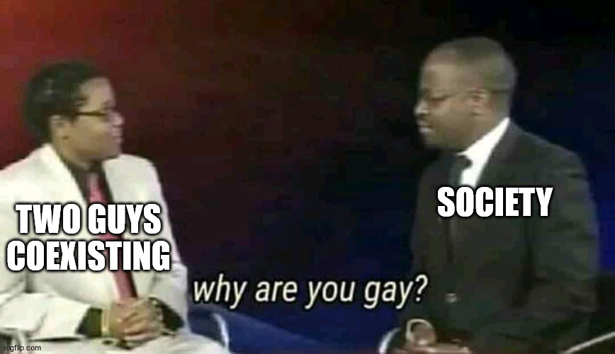 Why are you gay? | SOCIETY; TWO GUYS COEXISTING | image tagged in why are you gay | made w/ Imgflip meme maker