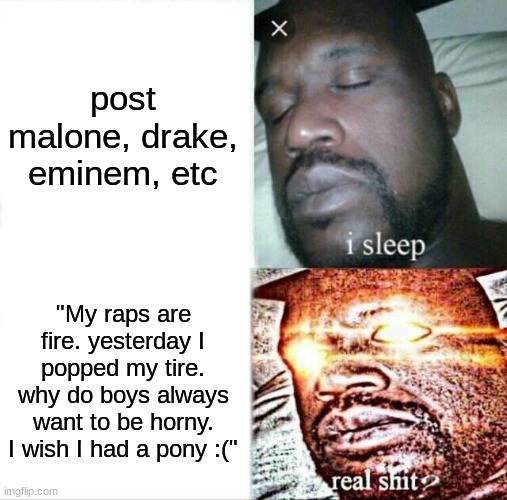 XDD |  post malone, drake, eminem, etc; "My raps are fire. yesterday I popped my tire. why do boys always want to be horny. I wish I had a pony :(" | image tagged in memes,sleeping shaq | made w/ Imgflip meme maker