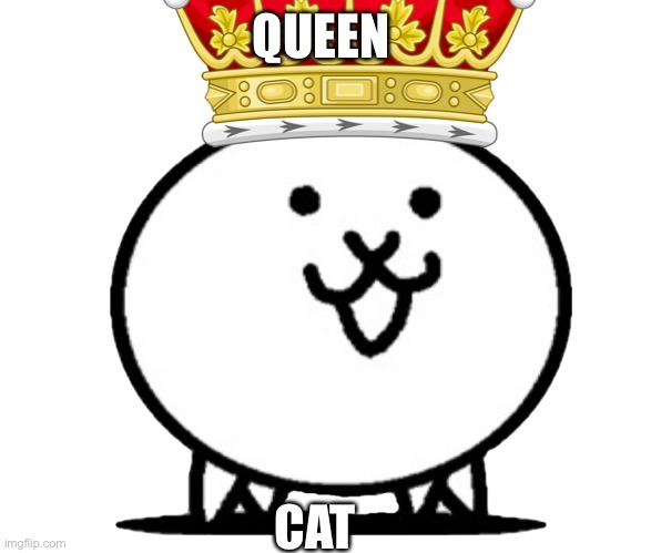 Cattttt | QUEEN; CAT | image tagged in cats | made w/ Imgflip meme maker