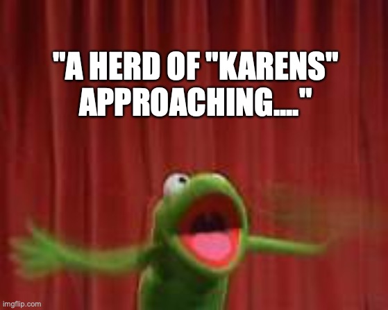 Karens | "A HERD OF "KARENS" APPROACHING...." | image tagged in crazy kermit | made w/ Imgflip meme maker