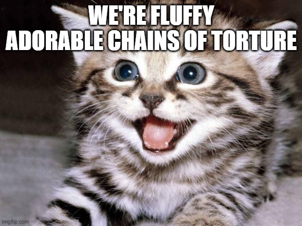 Uber Cute Cat | WE'RE FLUFFY ADORABLE CHAINS OF TORTURE | image tagged in uber cute cat | made w/ Imgflip meme maker