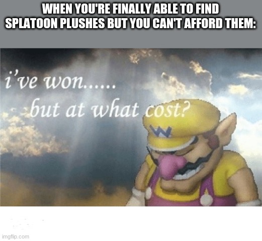 apparently $27.95 | WHEN YOU'RE FINALLY ABLE TO FIND SPLATOON PLUSHES BUT YOU CAN'T AFFORD THEM: | image tagged in wario sad,splatoon | made w/ Imgflip meme maker