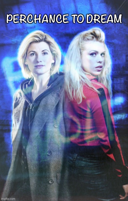 Perchance to dream | PERCHANCE TO DREAM | image tagged in doctor who,rose tyler,thirteenth doctor | made w/ Imgflip meme maker