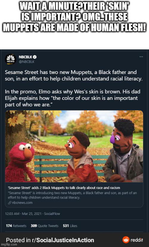 muppets are made of flesh | WAIT A MINUTE?THEIR 'SKIN' IS IMPORTANT? OMG..THESE MUPPETS ARE MADE OF HUMAN FLESH! | image tagged in sesame street,elmo,funny | made w/ Imgflip meme maker