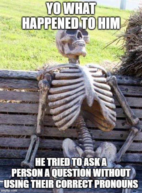 I hate Gen Z | YO WHAT HAPPENED TO HIM; HE TRIED TO ASK A PERSON A QUESTION WITHOUT USING THEIR CORRECT PRONOUNS | image tagged in memes,waiting skeleton | made w/ Imgflip meme maker