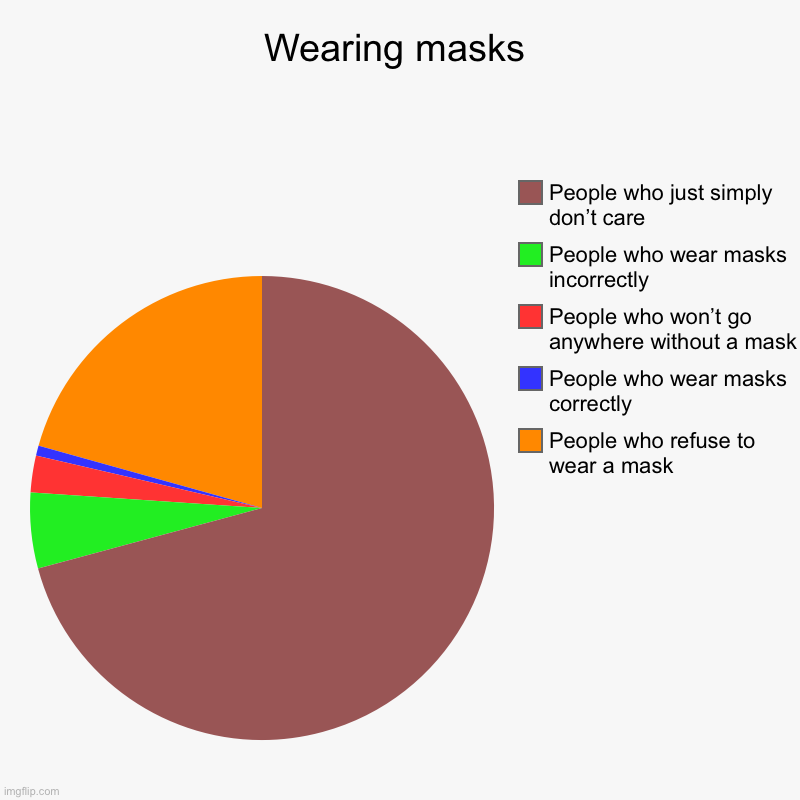 Wearing masks | People who refuse to wear a mask, People who wear masks correctly, People who won’t go anywhere without a mask, People who w | image tagged in charts,pie charts | made w/ Imgflip chart maker