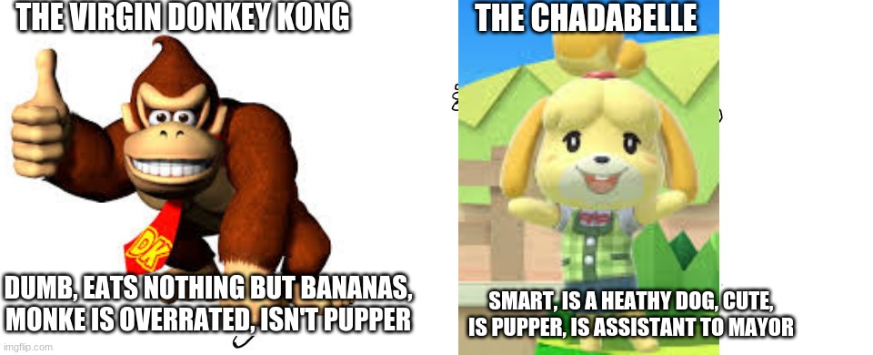 the virgin donkey kong vs the chadabelle | THE VIRGIN DONKEY KONG; THE CHADABELLE; DUMB, EATS NOTHING BUT BANANAS, MONKE IS OVERRATED, ISN'T PUPPER; SMART, IS A HEATHY DOG, CUTE, IS PUPPER, IS ASSISTANT TO MAYOR | image tagged in virgin vs chad,animal crossing,donkey kong | made w/ Imgflip meme maker