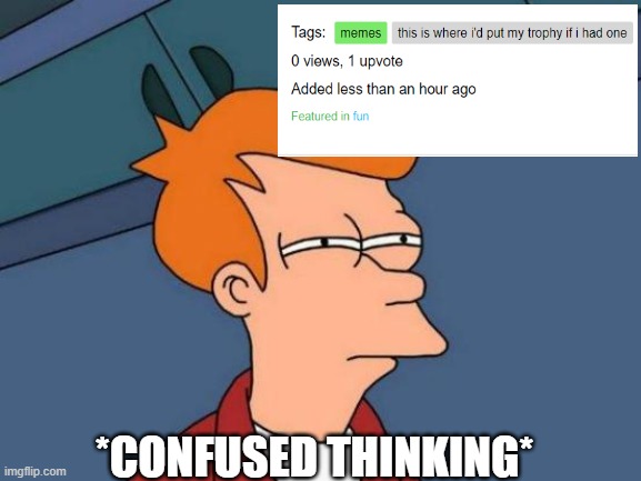 HMMmmmMmmMMmMMMmmmmm?????/ | *CONFUSED THINKING* | image tagged in memes,futurama fry | made w/ Imgflip meme maker