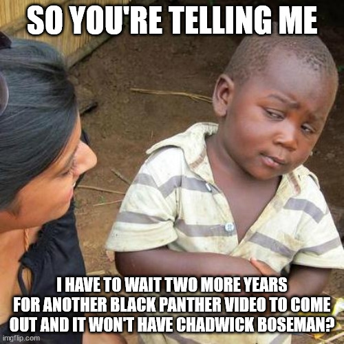 RIP Chadwick Boseman | SO YOU'RE TELLING ME; I HAVE TO WAIT TWO MORE YEARS FOR ANOTHER BLACK PANTHER VIDEO TO COME OUT AND IT WON'T HAVE CHADWICK BOSEMAN? | image tagged in memes,third world skeptical kid | made w/ Imgflip meme maker