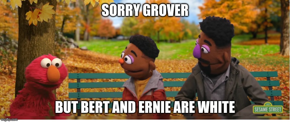 Identity Politics | SORRY GROVER; BUT BERT AND ERNIE ARE WHITE | image tagged in racism,anti racist,identity politics | made w/ Imgflip meme maker