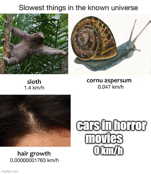 Slowest things | cars in horror movies; 0 km/h | image tagged in slowest things | made w/ Imgflip meme maker