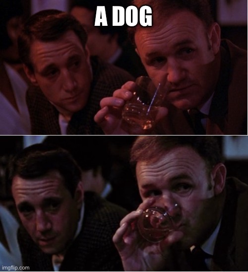Popeye Doyle That's My Business | A DOG | image tagged in popeye doyle that's my business | made w/ Imgflip meme maker