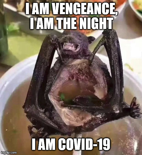 *Insert bat soup meme here* | I AM VENGEANCE, I AM THE NIGHT; I AM COVID-19 | image tagged in bat | made w/ Imgflip meme maker