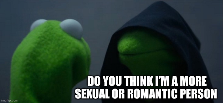 Evil Kermit | DO YOU THINK I’M A MORE SEXUAL OR ROMANTIC PERSON | image tagged in memes,evil kermit | made w/ Imgflip meme maker