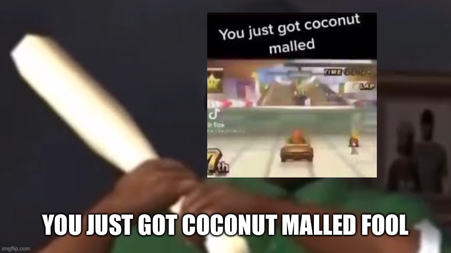 two number 9s, a number 9 large, a number 6 with extra dip, a number 7, two number 45s, one with cheese, and a large soda. | YOU JUST GOT COCONUT MALLED FOOL | image tagged in big smoke | made w/ Imgflip meme maker