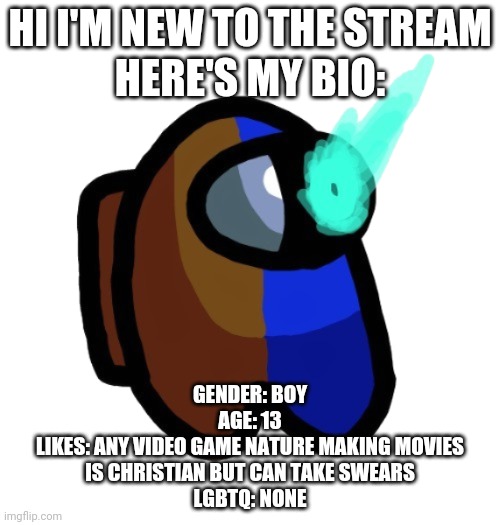 Hello | HI I'M NEW TO THE STREAM
HERE'S MY BIO:; GENDER: BOY
AGE: 13
LIKES: ANY VIDEO GAME NATURE MAKING MOVIES
IS CHRISTIAN BUT CAN TAKE SWEARS
LGBTQ: NONE | image tagged in bad time brown | made w/ Imgflip meme maker