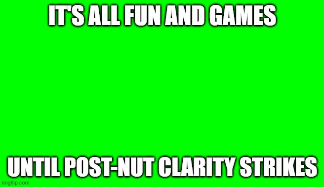 Green Screen (for Videos) | IT'S ALL FUN AND GAMES; UNTIL POST-NUT CLARITY STRIKES | image tagged in green screen for videos | made w/ Imgflip meme maker
